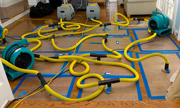 Professional Emergency Water Removal technician working in Economy, IN